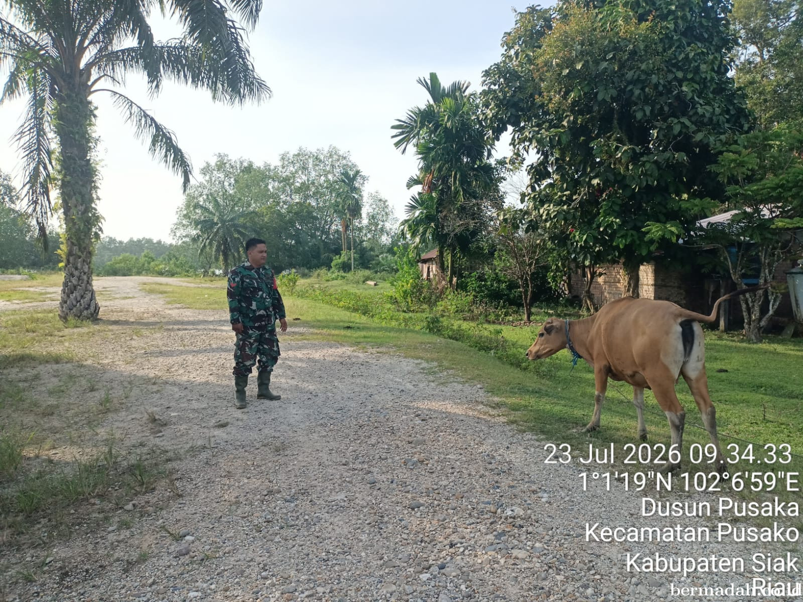 Kamis 23 Juli, Pendampingan Penyemprotan Disinsfektan PMK URC Ternak di Kampung Dusun Pusaka