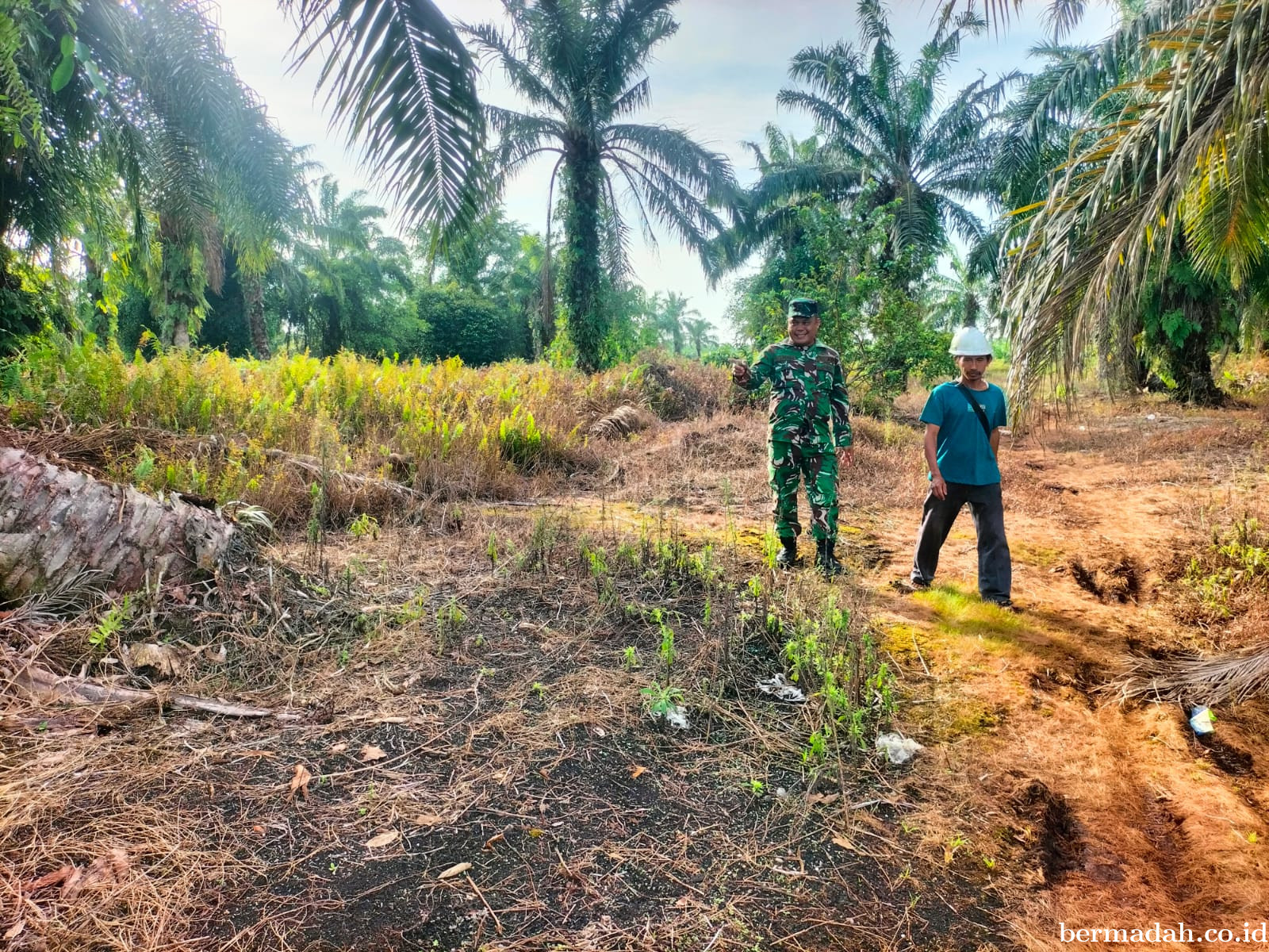 Penanggulangan Karhutla di Wilayah Koramil 02/Sungai Apit, Sabtu 25 Juli