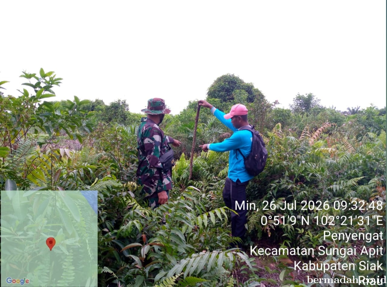 Penanggulangan Karhutla di Wilayah Koramil 02/Sungai Apit, Minggu 26 Juli