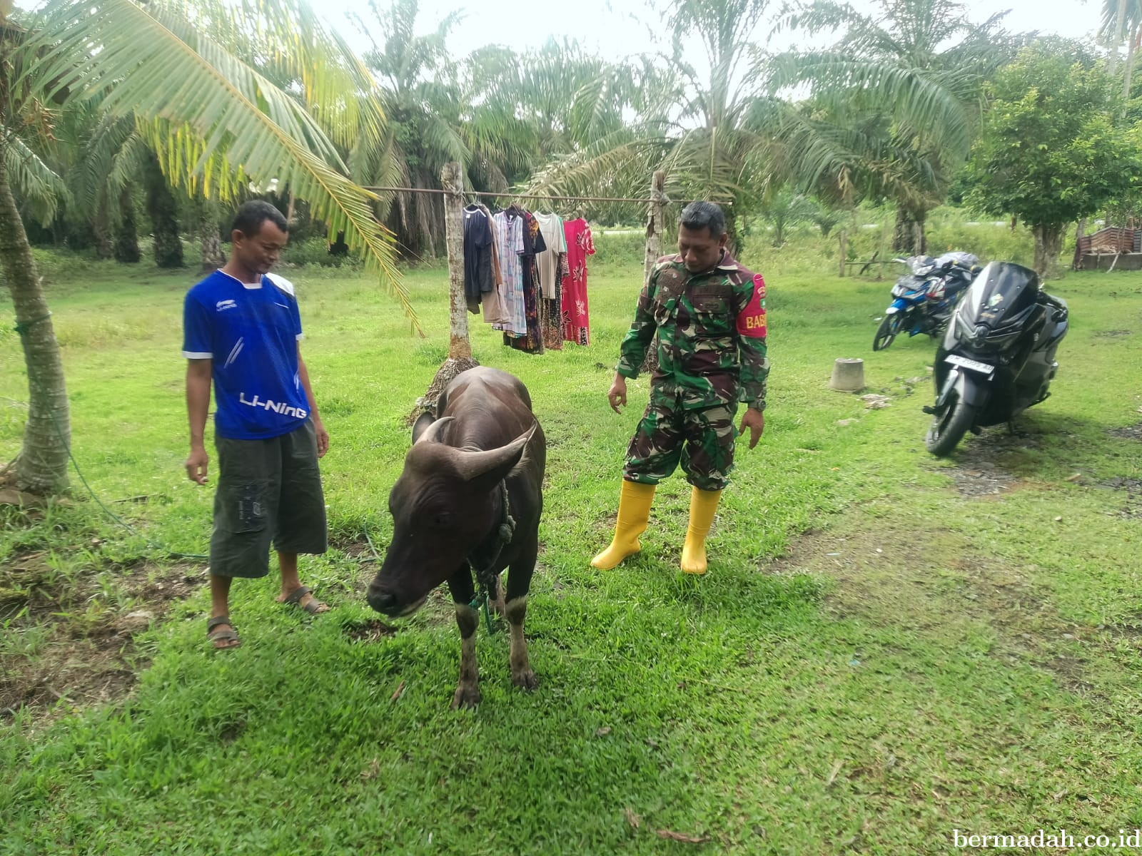 Selasa 28 Juli, Penyemprotan Disinsfektan PMK URC Ternak di Kampung Teluk mesjid 