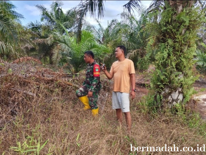 Penanggulangan Karhutla di Wilayah Koramil 02/Sungai Apit,Sabtu 1 Agustus