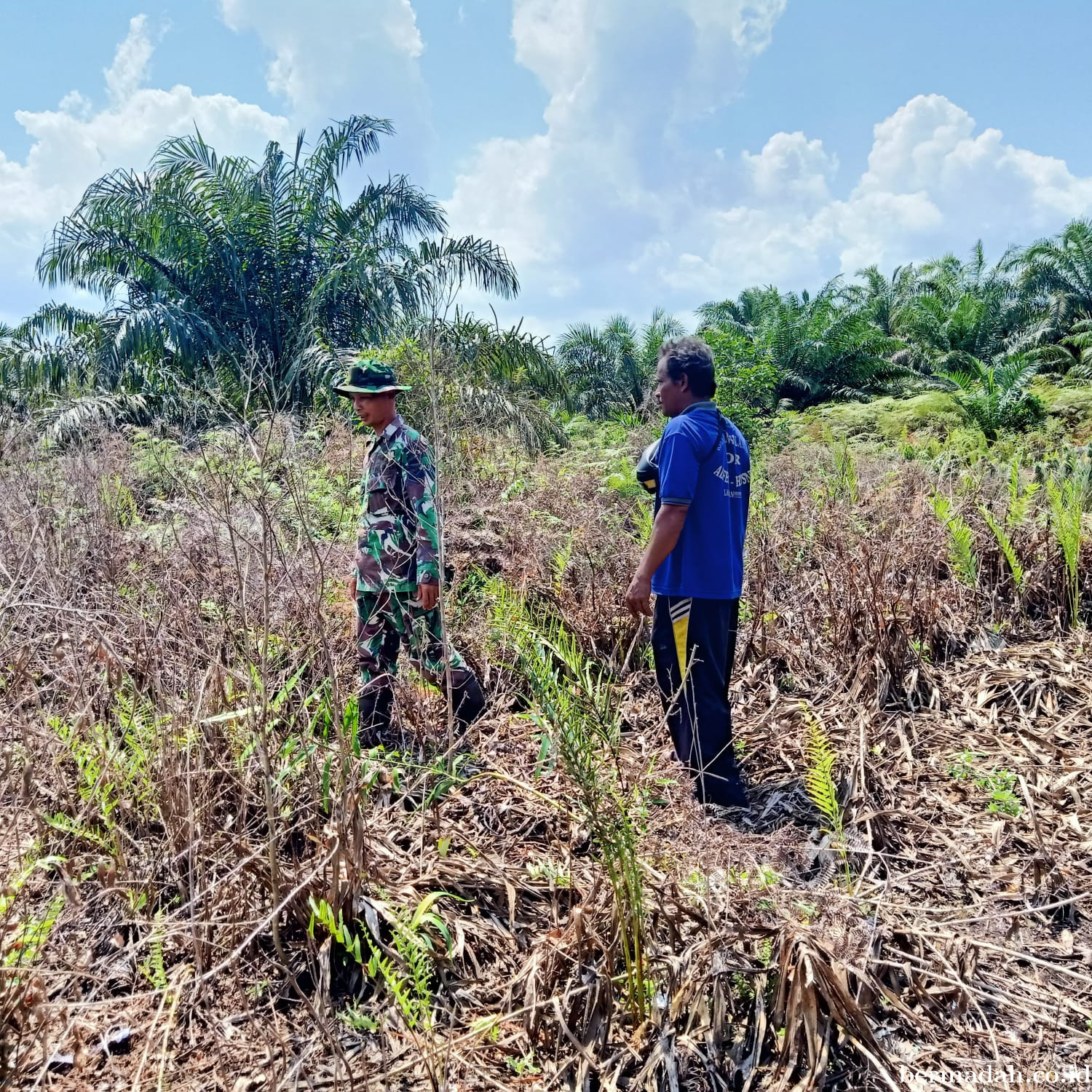 Penanggulangan Karhutla di Wilayah Koramil 02/Sungai Apit, Senin 10 Agustus 2026