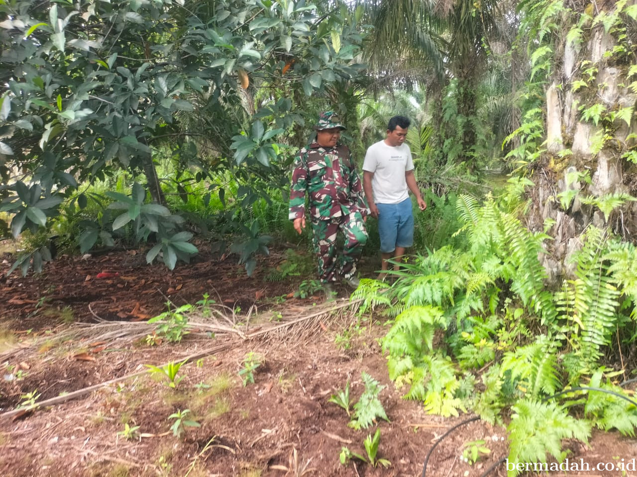 Penanggulangan Karhutla di Wilayah Koramil 02/Sungai Apit, Sabtu 15 Agustus