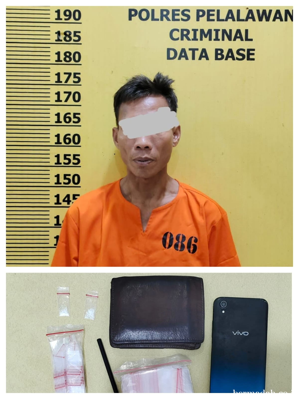 Polsek Langgam Ungkap Kasus Narkoba, Seorang Pria Diamankan Bersama Diduga Sabu