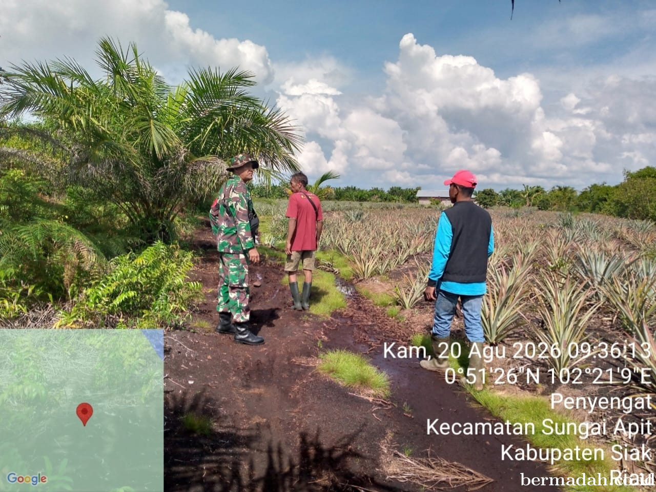 Penanggulangan Karhutla di Wilayah Koramil 02/Sungai Apit, Kamis 20 Agustus