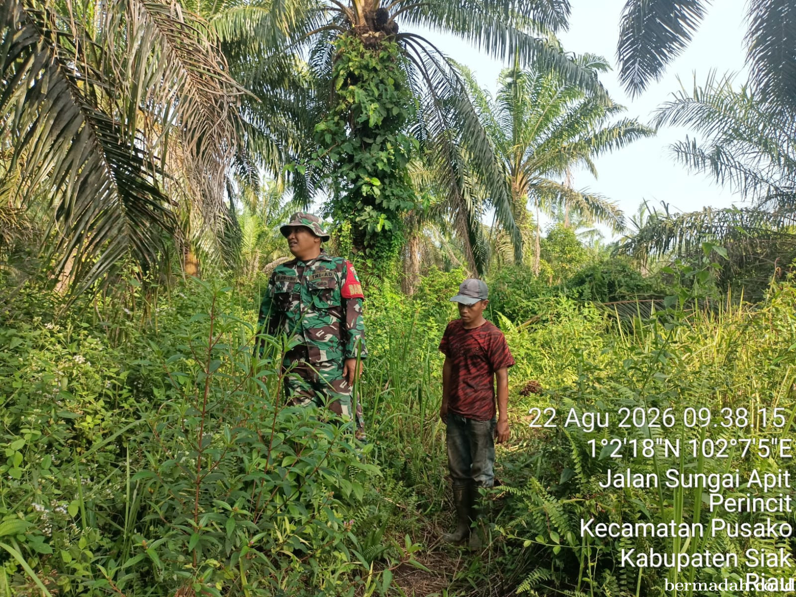 Penanggulangan Karhutla di Wilayah Koramil 02/Sungai Apit, Sabtu 22 Agustus
