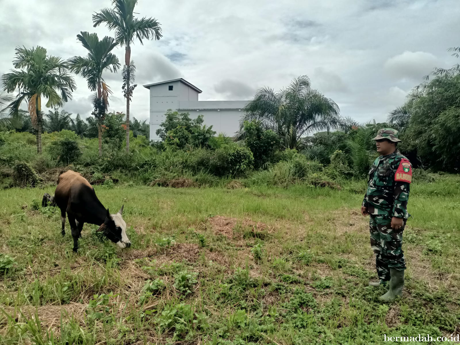 Senin 24 Agustus, Pendampingan Penyemprotan Disinsfektan PMK URC Ternak di Kampung Dusun Pusaka