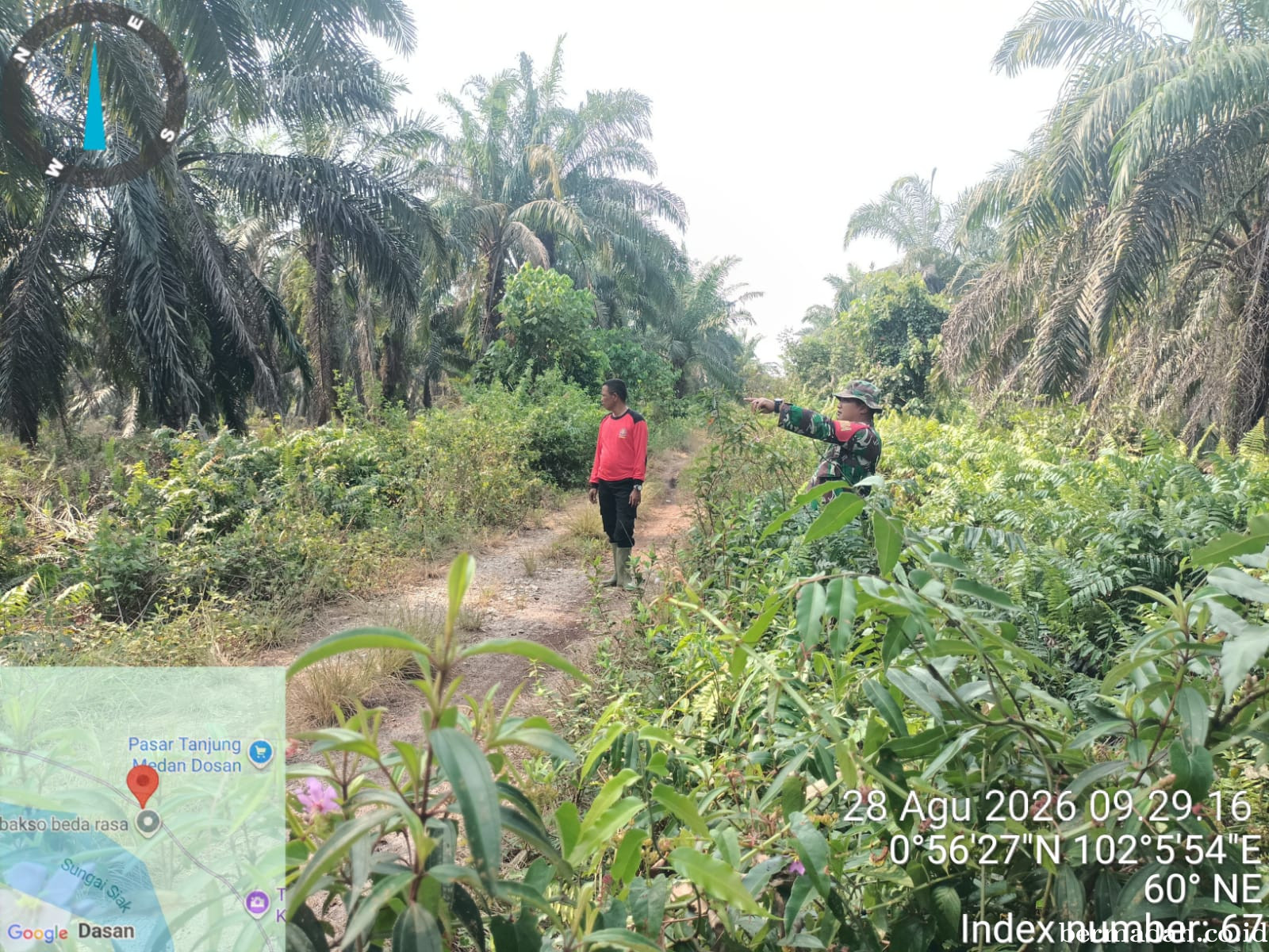 Penanggulangan Karhutla di Wilayah Koramil 02/Sungai Apit, Jumat 28 Agustus