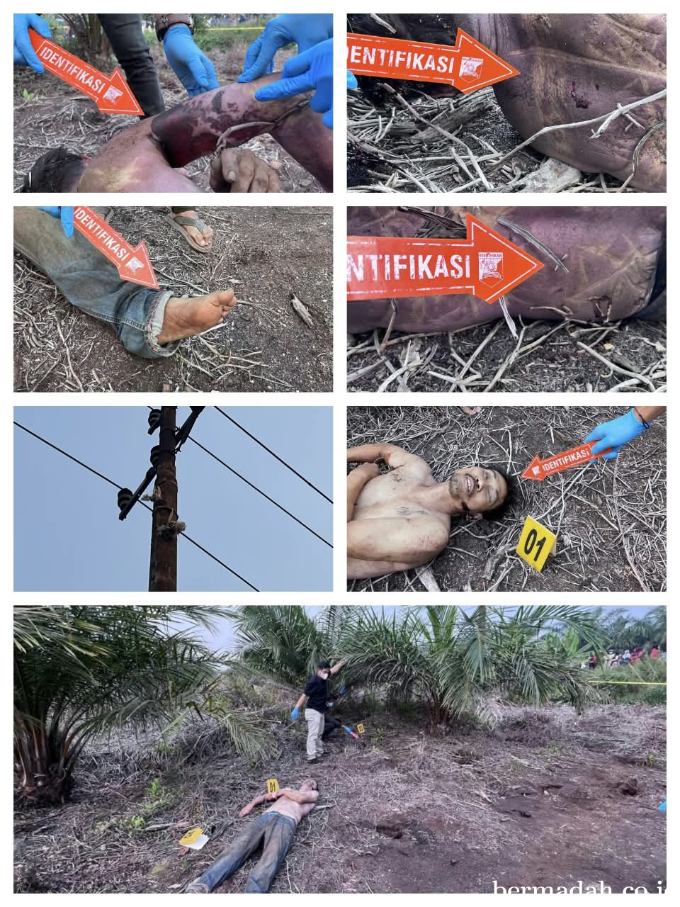 Diduga Tersengat Listrik, Pria Ditemukan Tewas Bersama Potongan Kabel di Lubuk Ogong