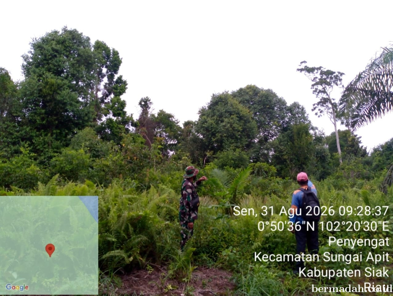 Penanggulangan Karhutla di Wilayah Koramil 02/Sungai Apit, Senin 31 Agustus