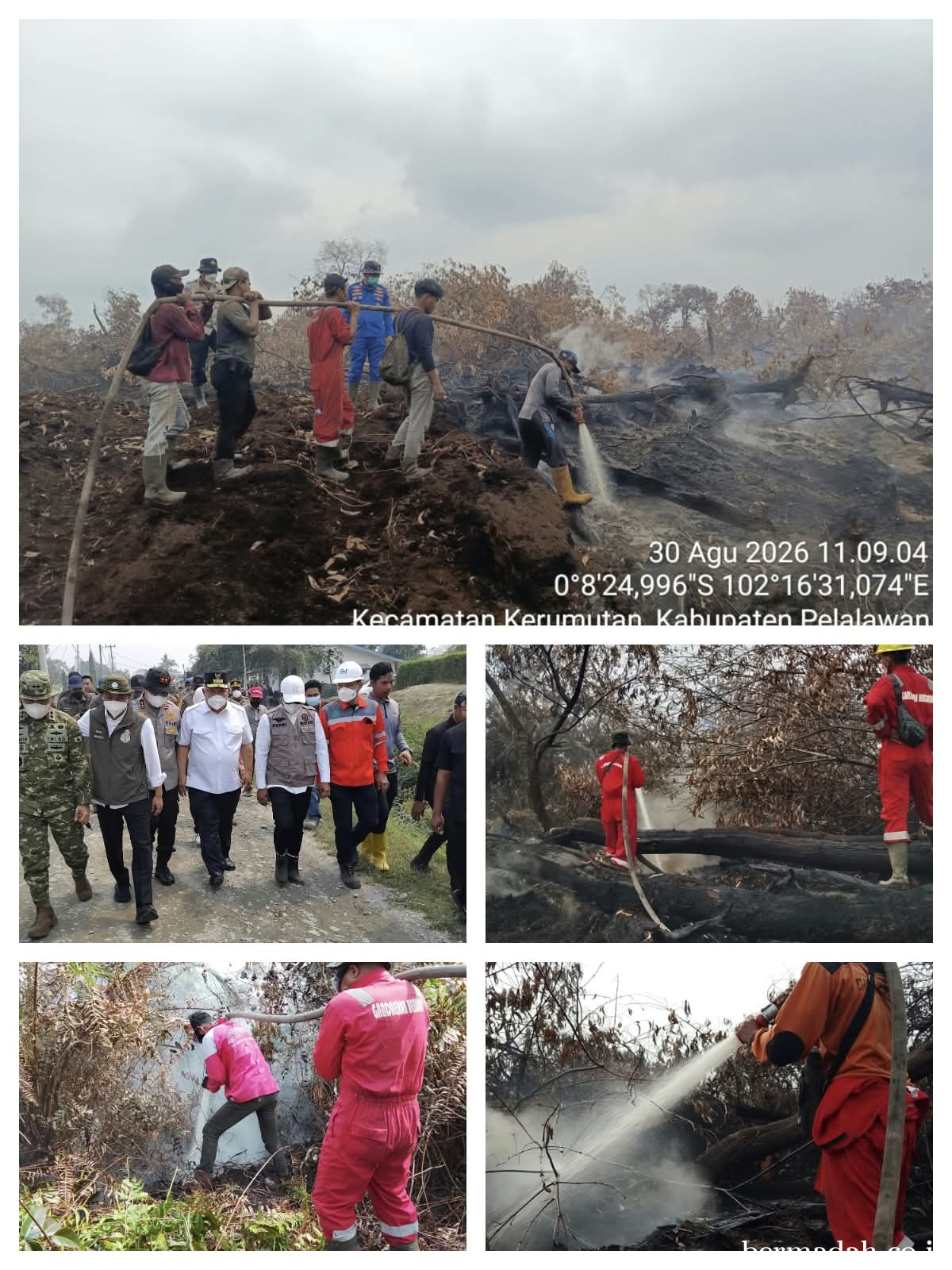 Karhutla Kerumutan Merembet ke Eks MPL, PT Gandaerah Hendana Tegaskan Komitmen Lindungi Lingkungan