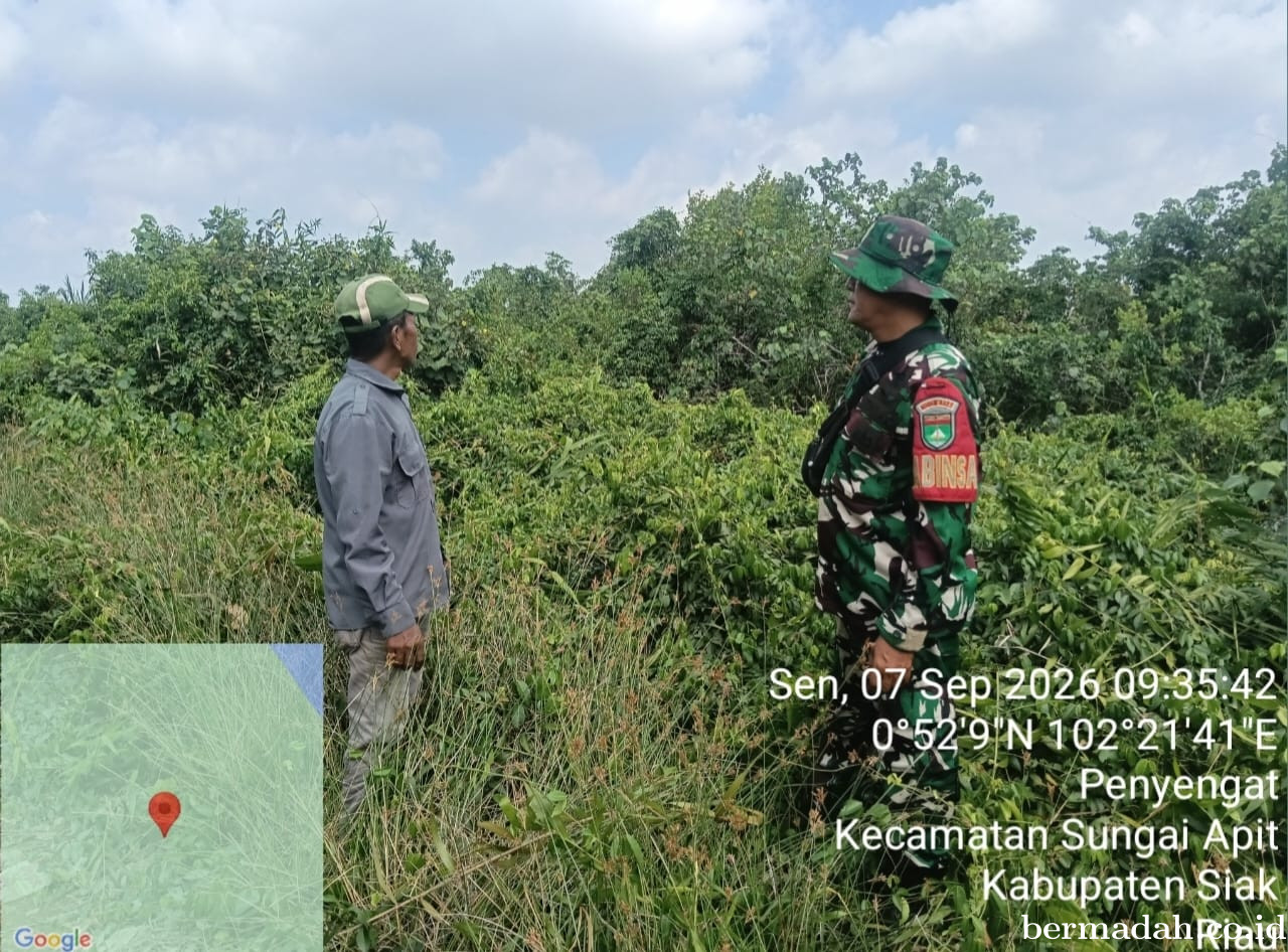 Penanggulangan Karhutla di Wilayah Koramil 02/Sungai Apit, Senin 7 September