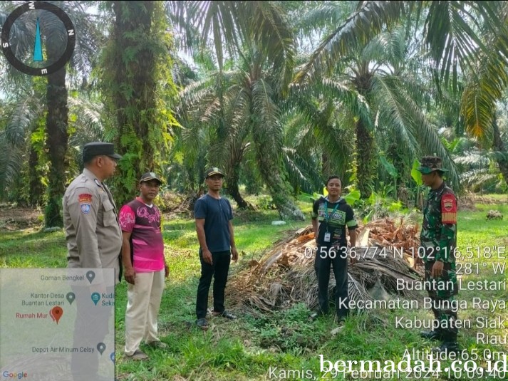 Penanggulangan Karhutla di lintas Wilayah Koramil 06/PWK Sabak Auh, Kamis 29 Februari
