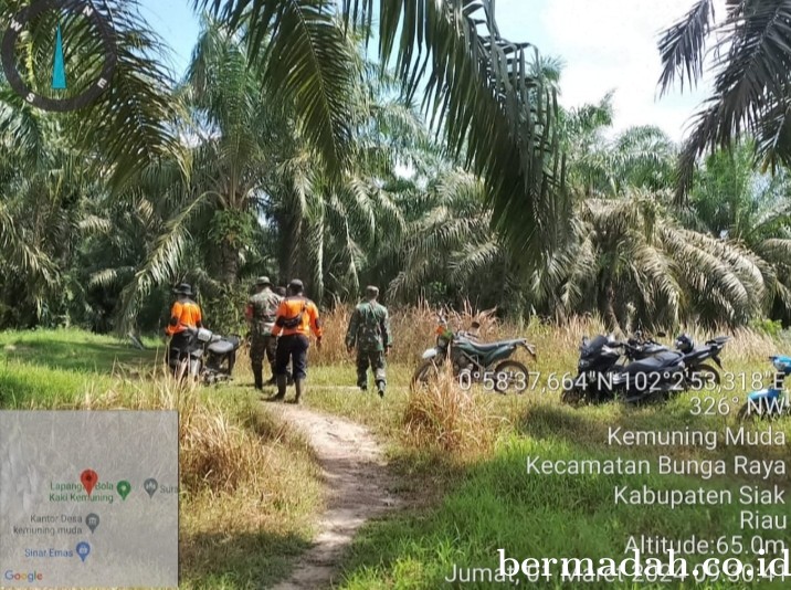 Hari Ini Penanggulangan Karhutla di lintas Wilayah Koramil 06/PWK Sabak Auh Jumat tanggal 1 Maret