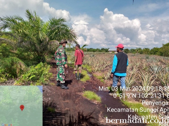 Penanggulangan Karhutla di Wilayah Koramil 02/Sungai Apit hari Minggu 3 Maret