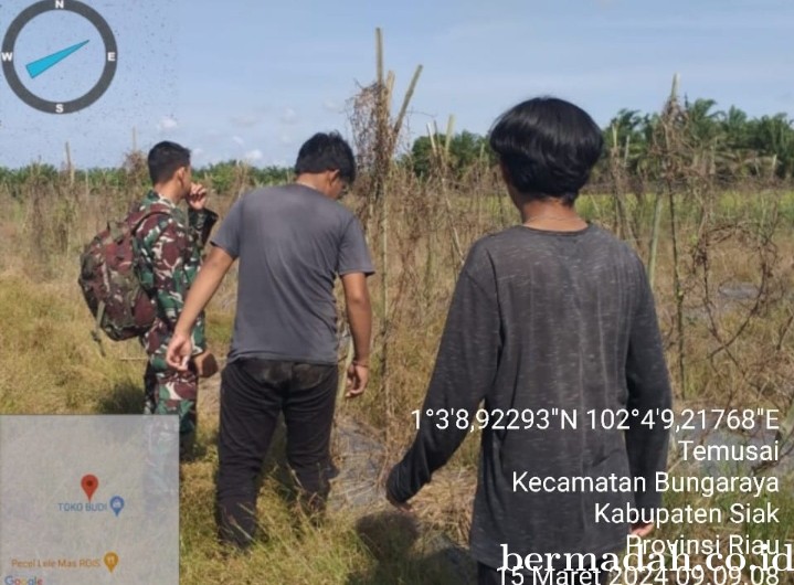 Penanggulangan Karhutla di lintas Wilayah Koramil 06/PWK Sabak Auh, Jumat 15 Maret