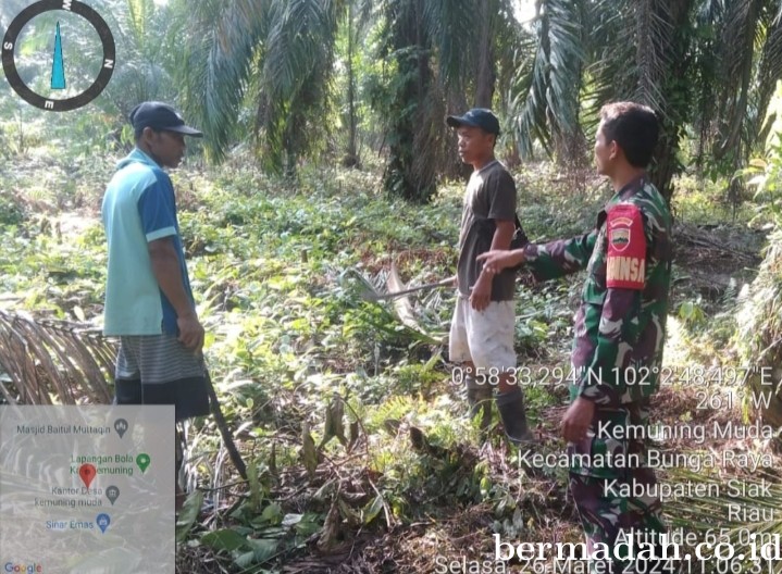 Penanggulangan Karhutla di lintas Wilayah Koramil 06/PWK Sabak Auh, Selasa 26 Maret