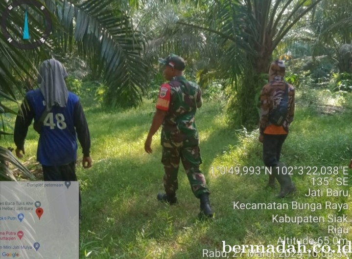 Penanggulangan Karhutla di lintas Wilayah Koramil 06/PWK Sabak Auh, Rabu 27 Maret