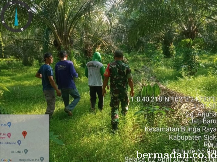 Penanggulangan Karhutla di lintas Wilayah Koramil 06/PWK Sabak Auh Selasa 2 April