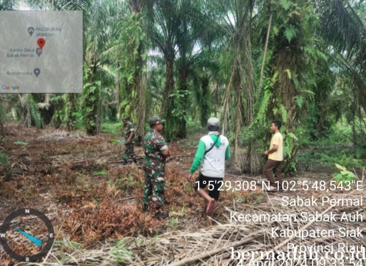 Penanggulangan Karhutla di lintas Wilayah Koramil 06/PWK Sabak Auh, Kamis 4 April