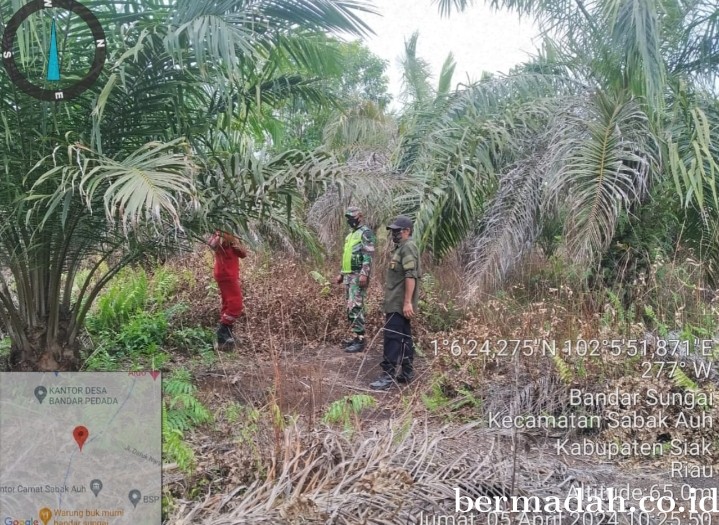 Penanggulangan Karhutla di lintas Wilayah Koramil 06/PWK Sabak Auh, Jumat 5 April