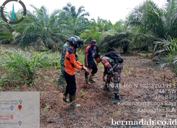 Penanggulangan Karhutla di lintas Wilayah Koramil 06/PWK Sabak Auh, Kamis 11 April