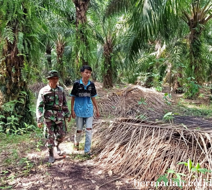 Penanggulangan Karhutla di Wilayah Koramil 02/Sungai Apit, Kamis 11 April