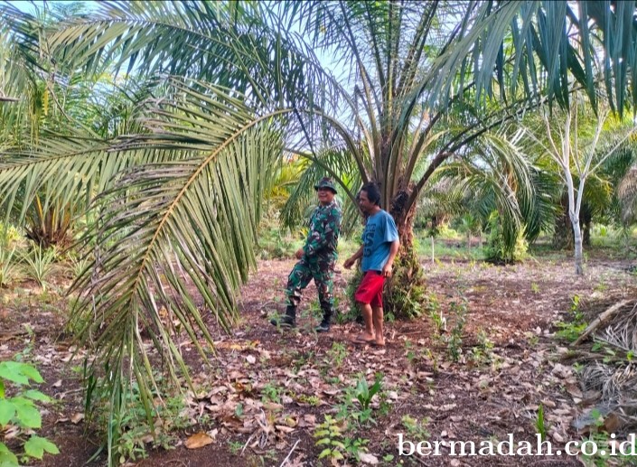 Penanggulangan Karhutla di Wilayah Koramil 02/Sungai Apit, Senin 15 April