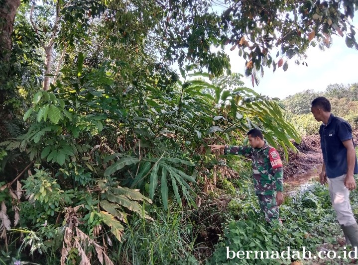 Penanggulangan Karhutla di Wilayah Koramil 02/Sungai Apit, Selasa 16 April