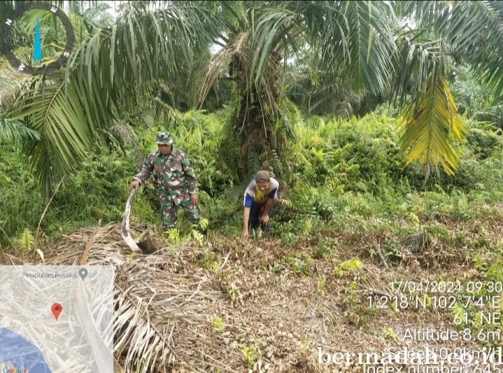 Penanggulangan Karhutla di Wilayah Koramil 02/Sungai Apit, Rabu 17 April