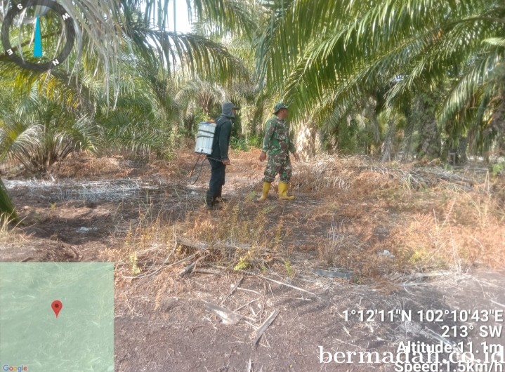 Penaggulangan Karhutla di Wilayah Koramil 02/Sungai Apit, Kamis 18 April