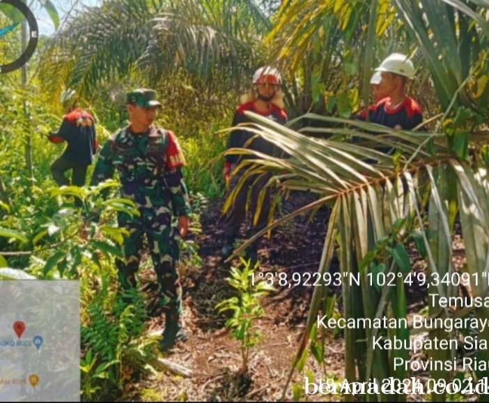 Penanggulangan Karhutla di lintas Wilayah Koramil 06/PWK Sabak Auh, Kamis 18 April