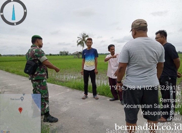 Sabtu 20 April 2024 Babinsa Koramil 06/PWK Sabak Auh Komsos di Kampung Rempak