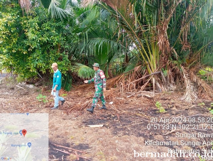 Penanggulangan Karhutla di Wilayah Koramil 02/Sungai Apit, Sabtu 20 April