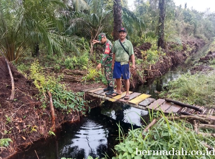 Penanggulangan Karhutla di Wilayah Koramil 02/Sungai Apit, Senin 22 April