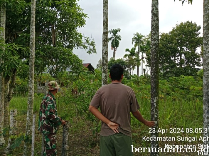 Penanggulangan Karhutla di Wilayah Koramil 02/Sungai Apit, Selasa 23 April