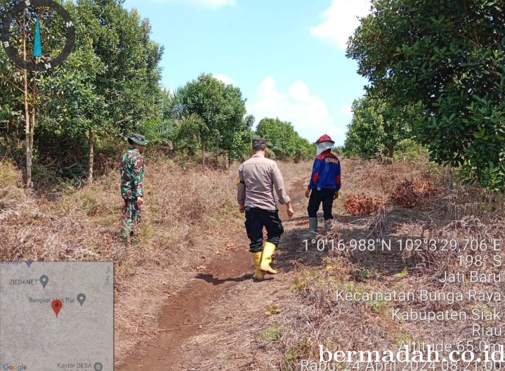 Penanggulangan Karhutla di lintas Wilayah Koramil 06/PWK Sabak Auh, Rabu 24 April