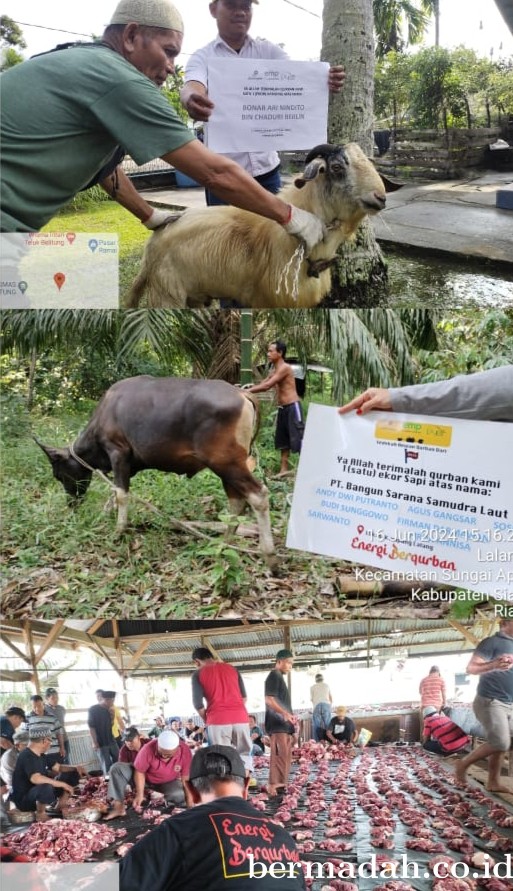 Energi Berqurban, BDI PT ITA Serta Sub Kontraktor Salurkan 23 Ekor Sapi dan 10 Kambing