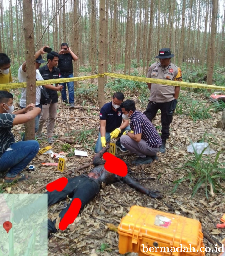 HEBOH! Penemuan Mayat Membusuk di Desa Gondai Gegerkan Warga Pelalawan