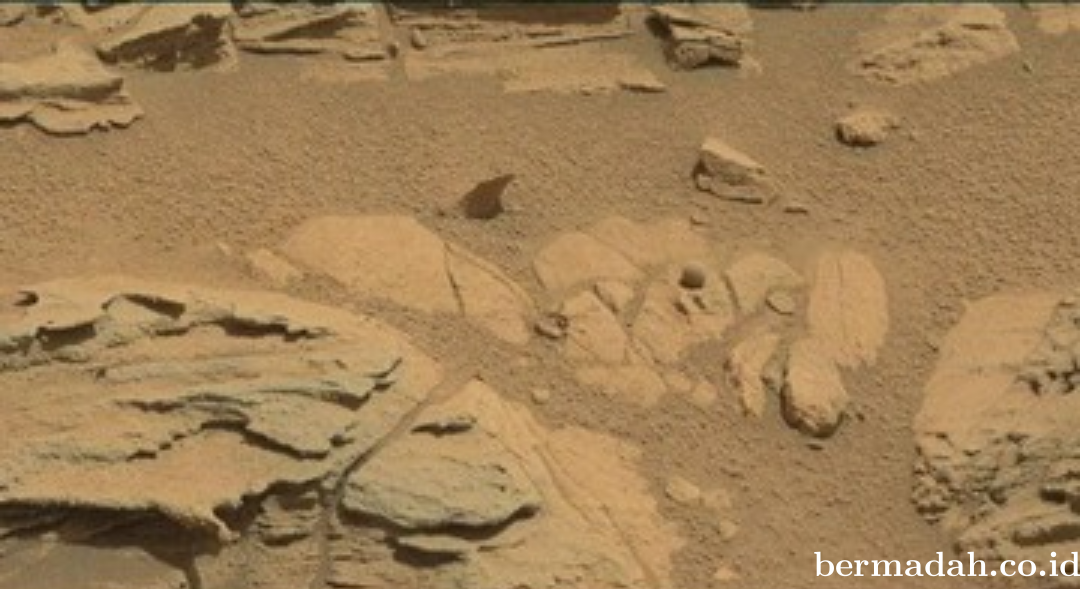 Screenshot_20200308-020745~2.png